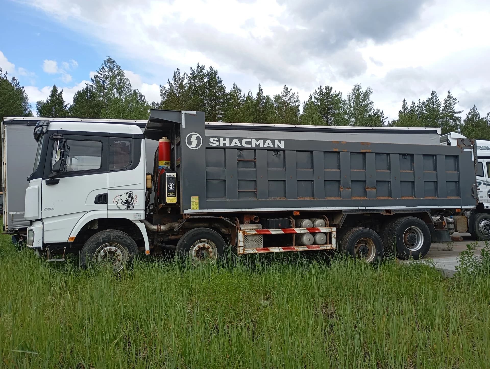 SHACMAN SX331863366