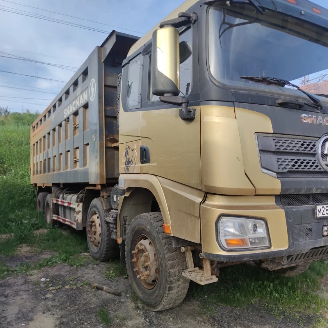SHACMAN SX33186V366