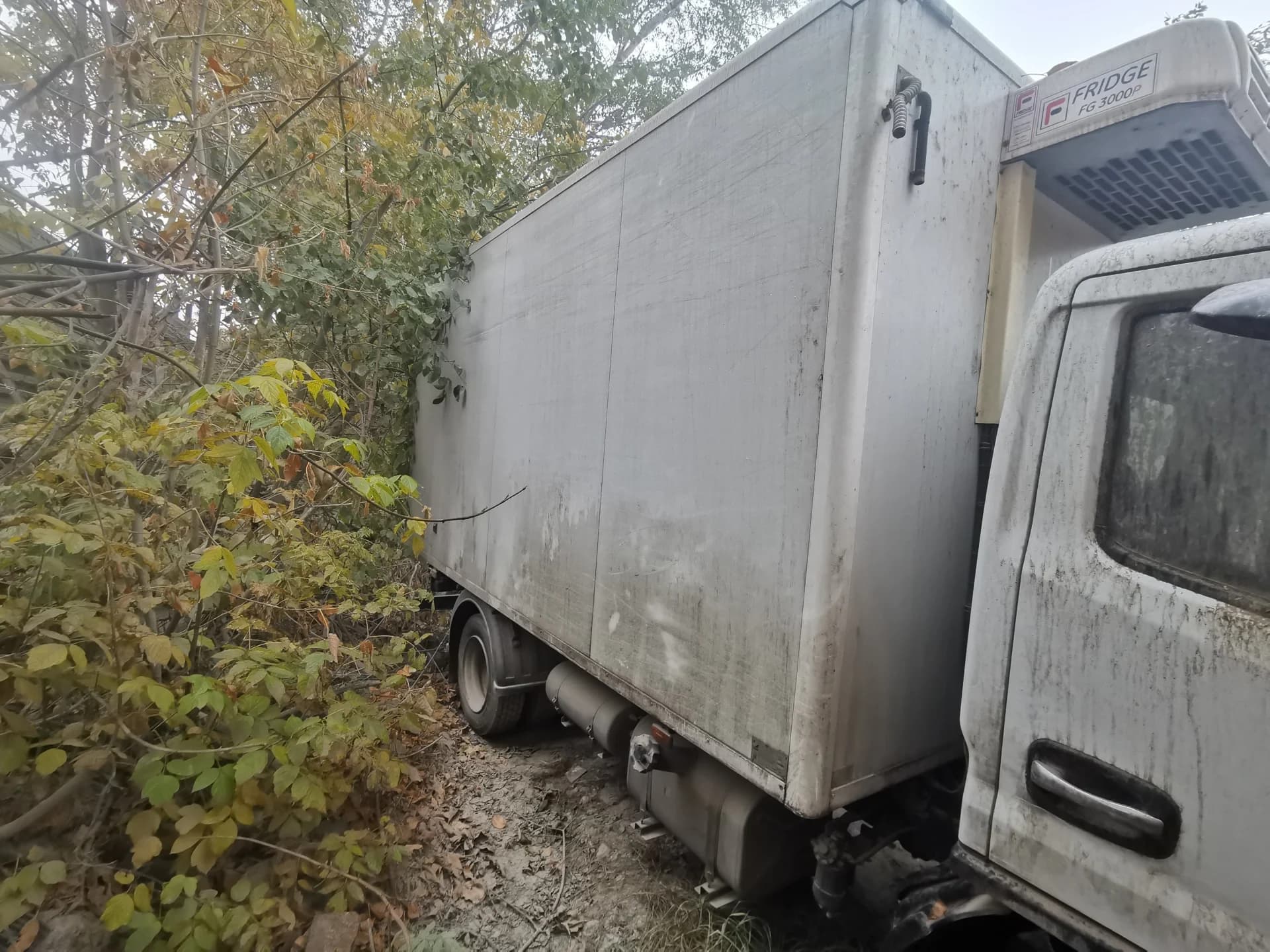 Dongfeng Z55N